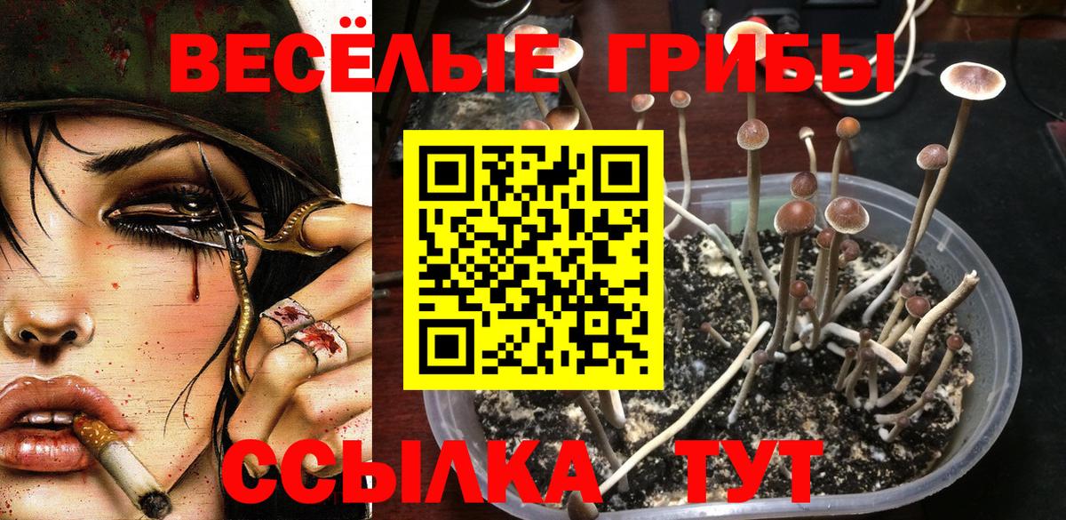 Галлюциногенные грибы GOLDEN TEACHER Солнечногорск